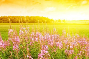 Фотография к новости: В среду казахстанцев ожидает погода без осадков