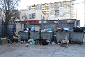 Фотография к новости: Нашедший девочку на мусорке в Атырау навестил ее в роддоме 