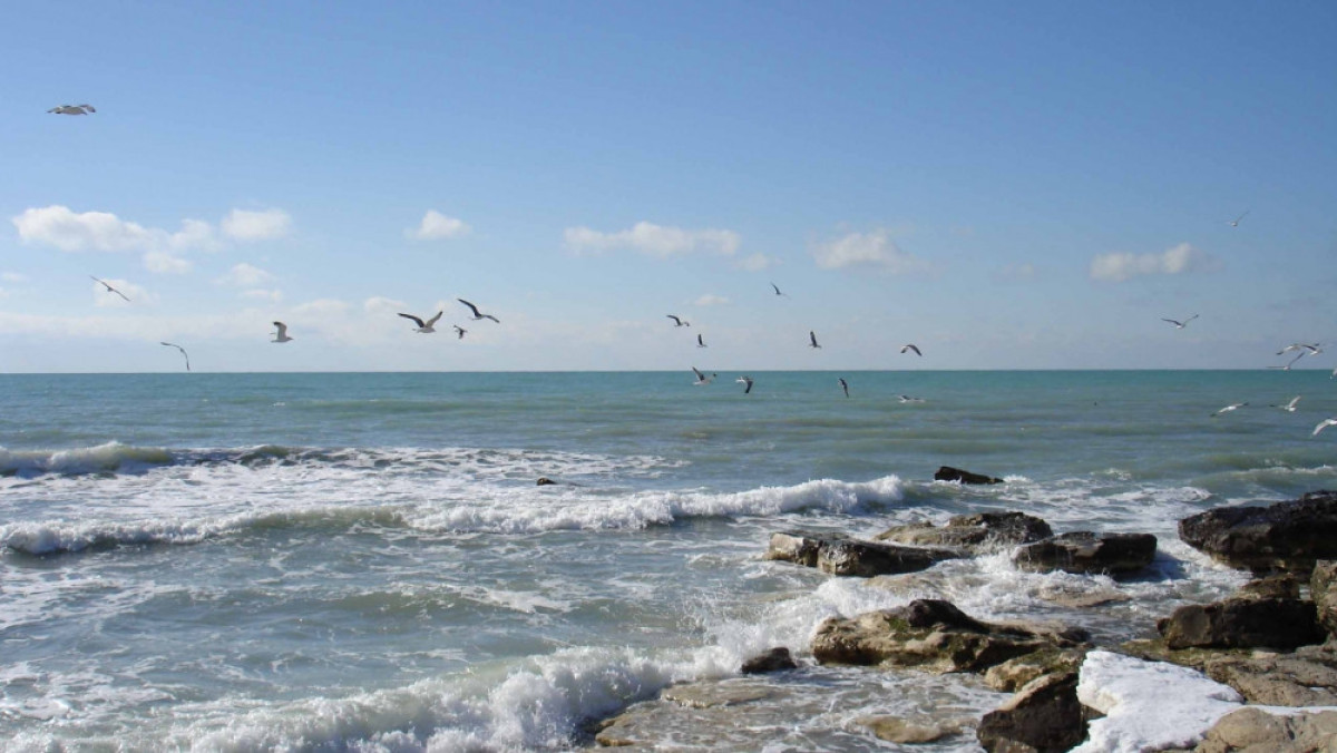  из открытого источника