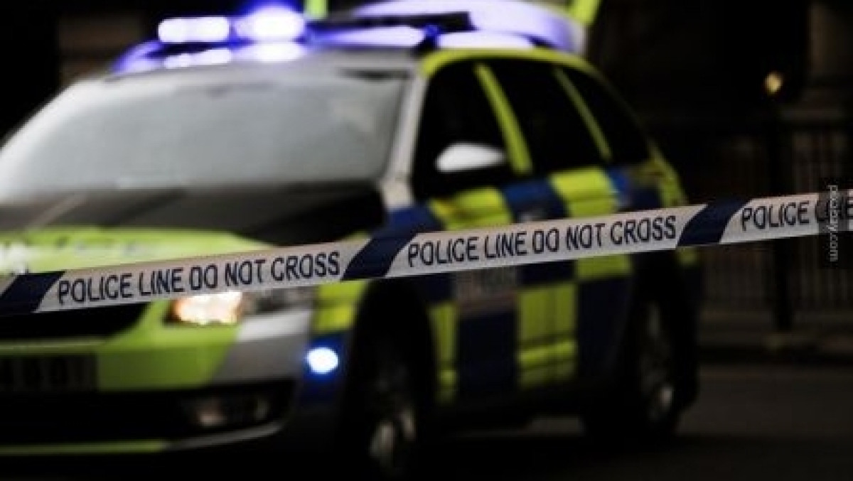  из свободных источников 