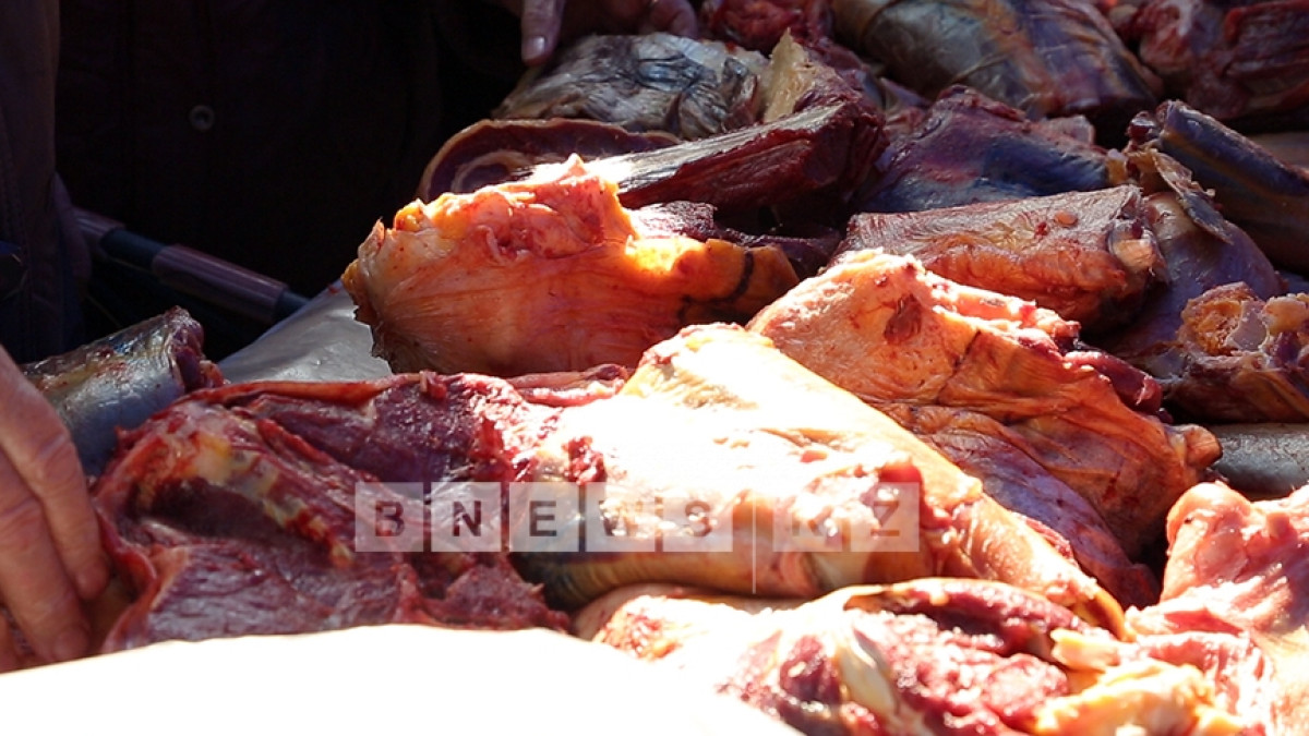  Фотоархив BNews.kz