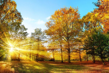 Фотография к новости: Погода без осадков ожидает казахстанцев в понедельник 