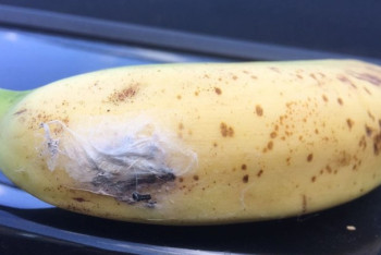 Фотография к новости: В британском супермаркете купили банан с яйцами ядовитого паука