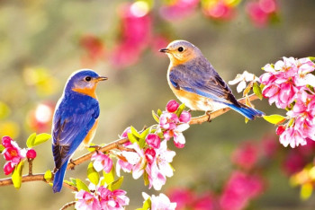 Фотография к новости: В понедельник казахстанцев ожидает облачная погода без осадков