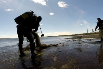 Фотография к новости: Из водоемов Астаны за один месяц убрано более 60 тонн мусора