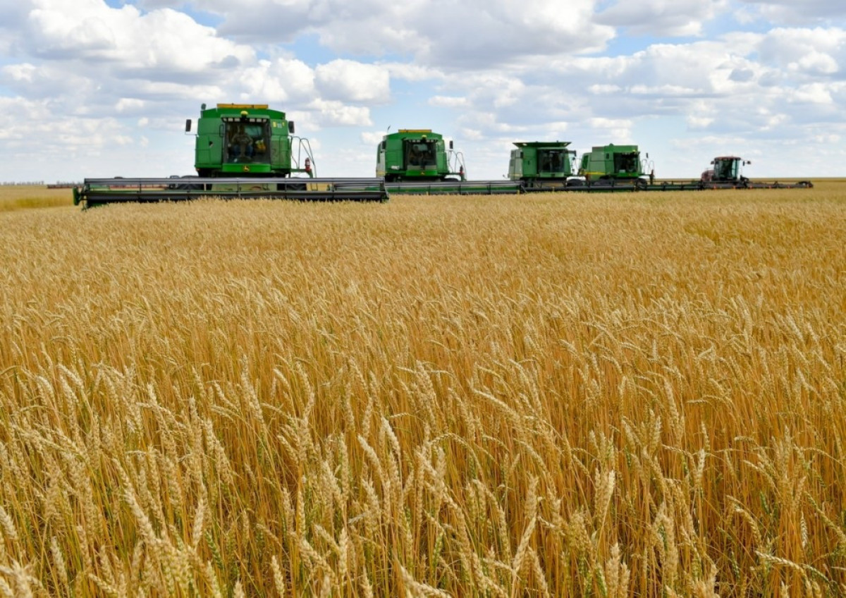  Светлана Боярская