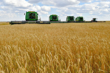 Фотография к новости: В СКО намолочено 5,6 млн тонн зерна