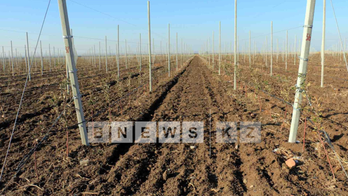  Фотоархив BNews.kz