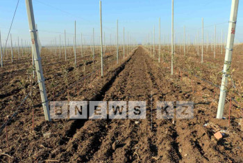 Фотография к новости: На весенне-полевые работы сельхозкооперативов выделят более 11 млрд тенге