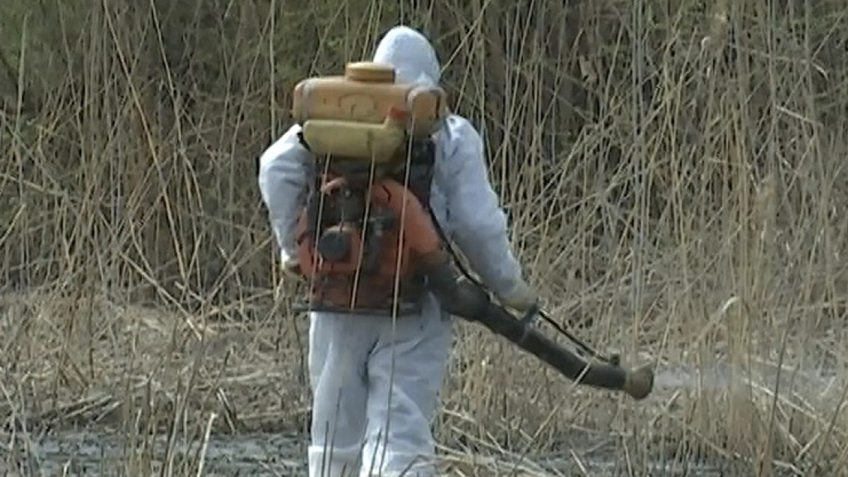  Сергей Романов