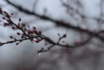 Фотография к новости: В нескольких областях Казахстана объявлено штормовое предупреждение