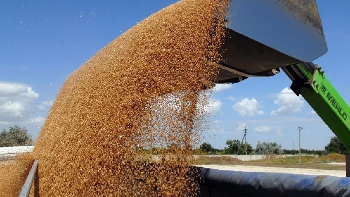  из свободных источников 