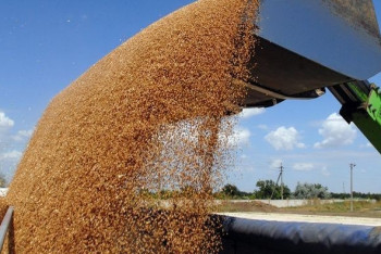 Фотография к новости: 100% пшеницы, муки и угля Кыргызстан импортирует из Казахстана