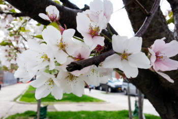 Фотография к новости: Казахстанцев ожидает похолодание