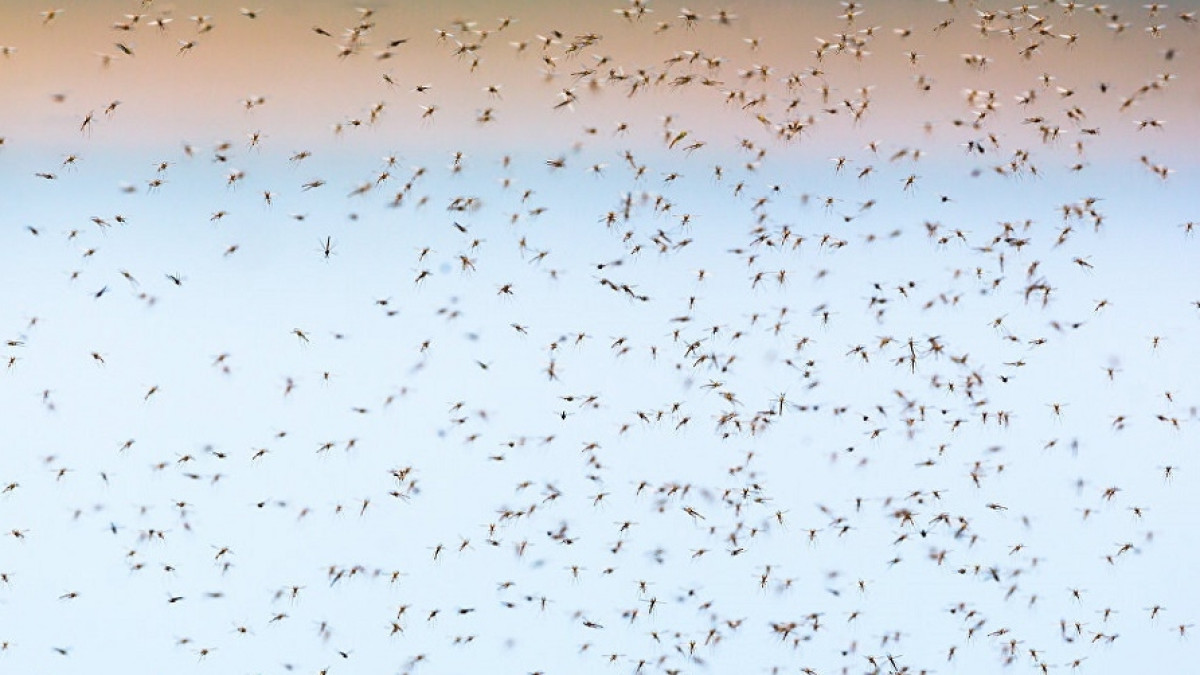  Из открытых источников 