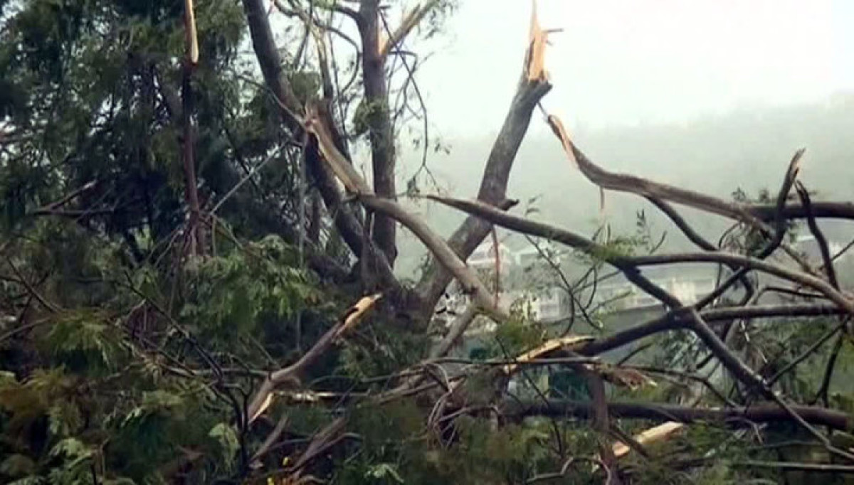  Фото взято с сайта vesti.ru