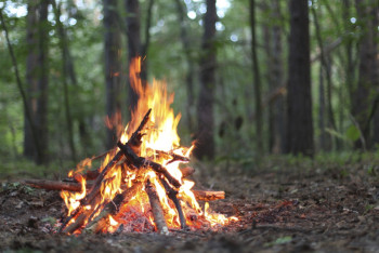 Фотография к новости: Свыше 200 тыс тенге заплатят нарушители за розжиг костра в Иле-Алатауском парке Алматы