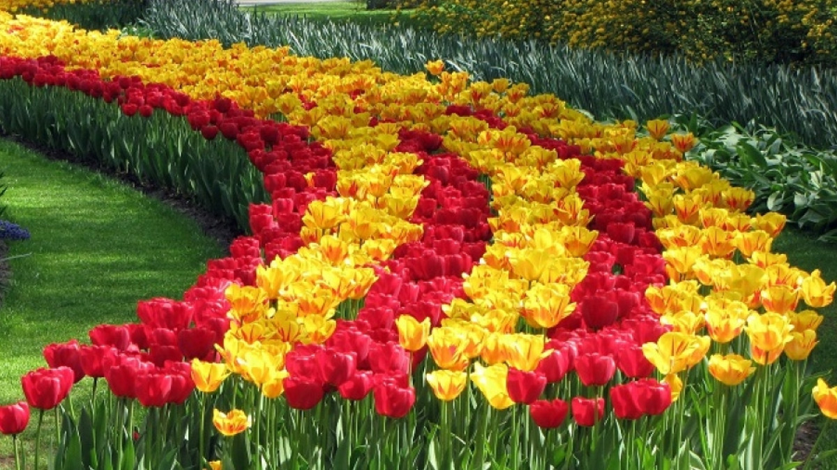  пресс-служба акимата ЮКО