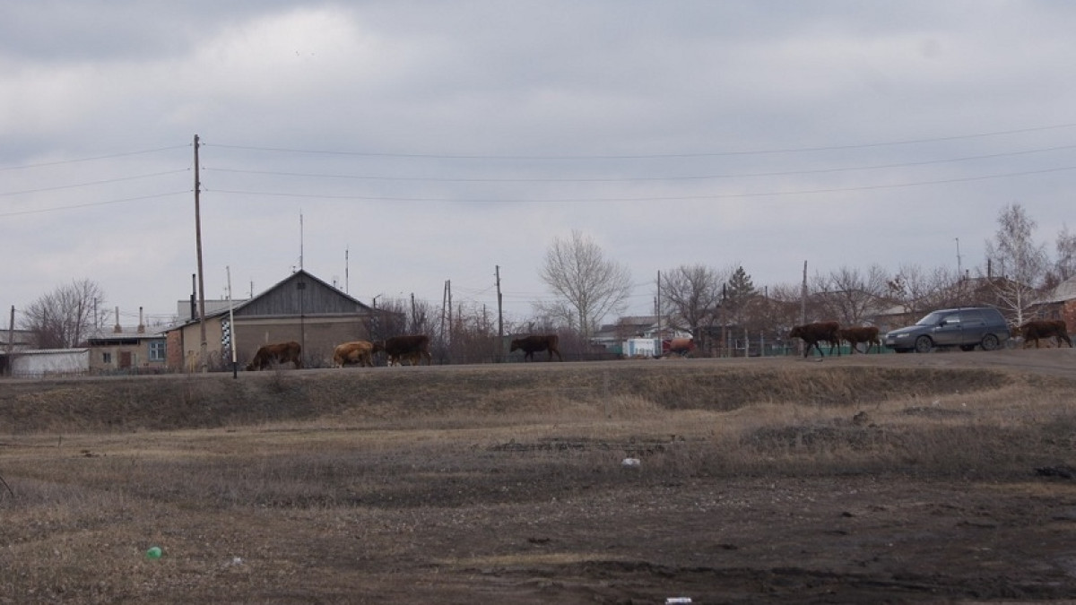  Валентина Ваганова 