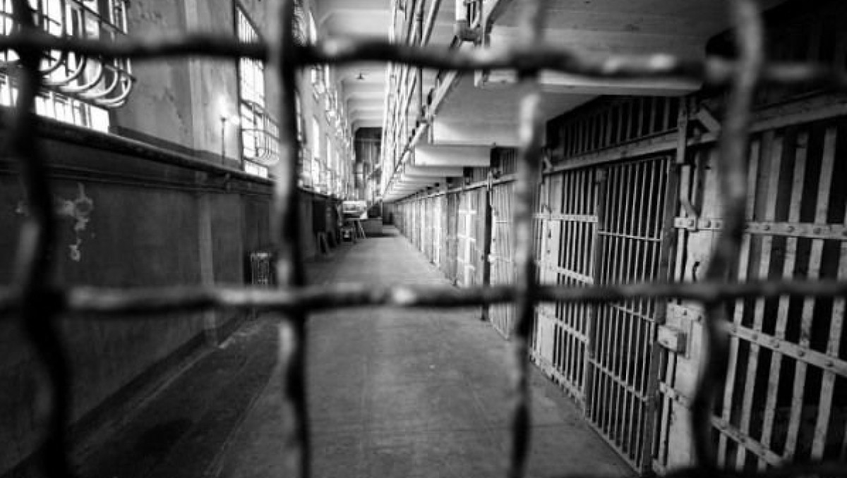  из свободных источников 