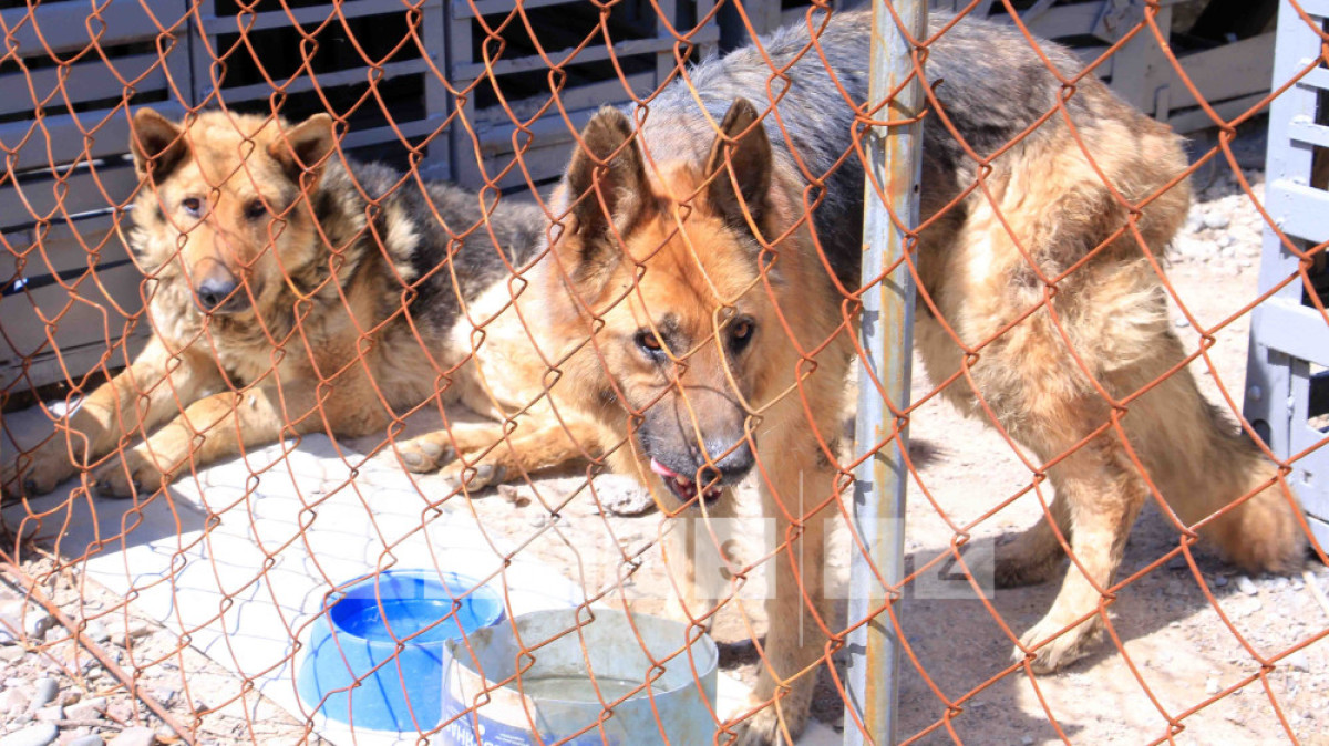  Фотоархив BNews.kz