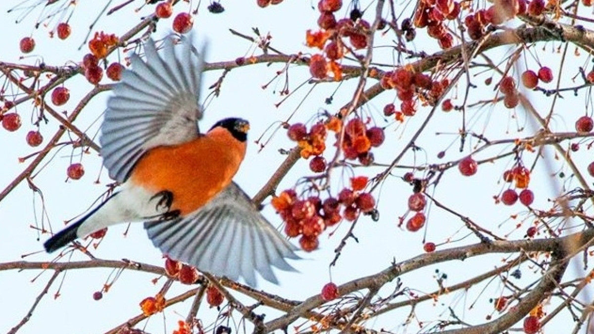  facebook Владимир Крикун 