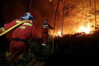 Фотография к новости: Около 40 человек погибли из-за лесных пожаров в Португалии