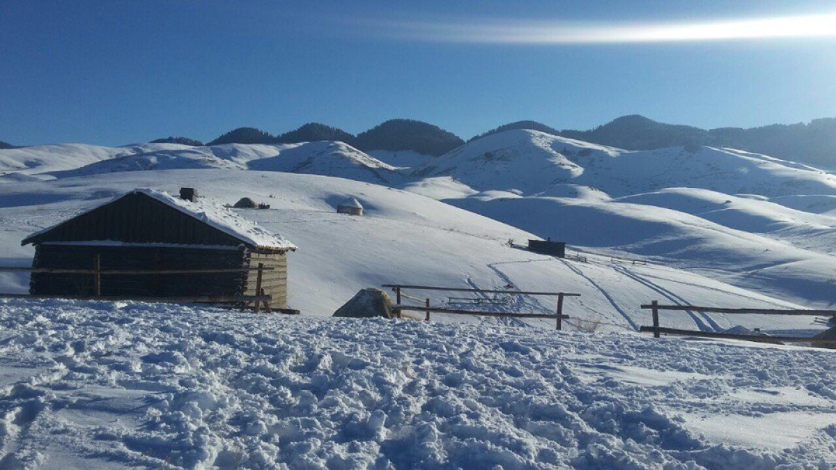  АО "Казахфильм"