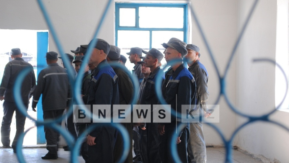  Алла Радченко