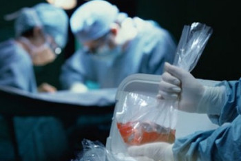 Фотография к новости: Главный врач Казахстана прокомментировал смерть донора во время пересадки почки