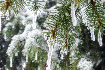 Фотография к новости: В пятницу в Казахстане ожидается пасмурная погода с осадками
