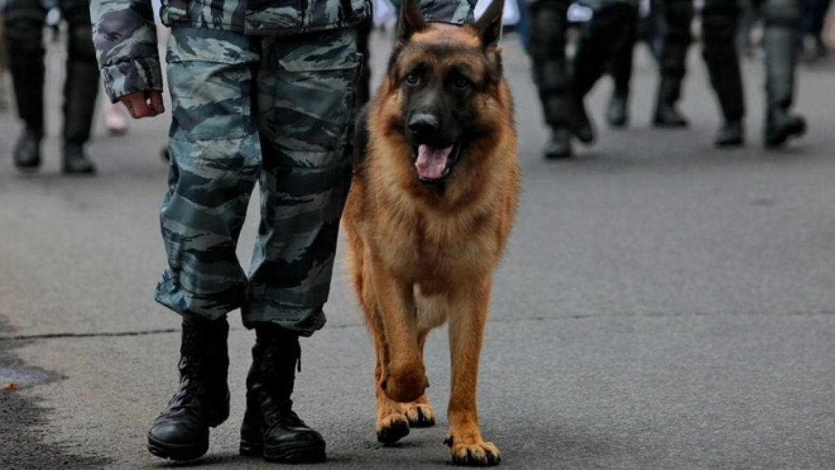  из свободных источников 