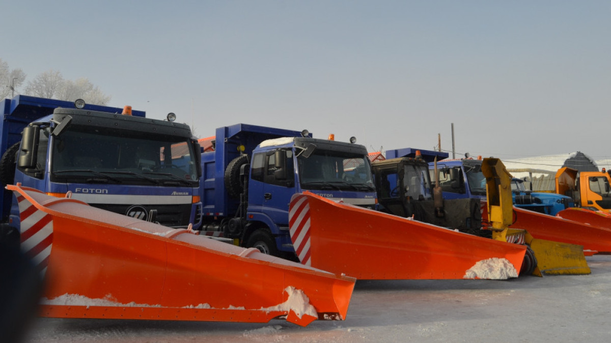  Светлана Боярская