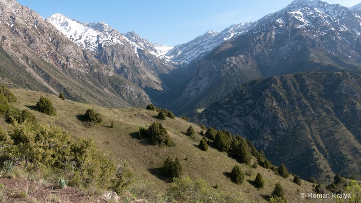  © Roman Kralya, images.esosedi.ru