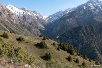 Фотография к новости: В Южно-Казахстанской области проводится фестиваль «ЭтноАртФест»