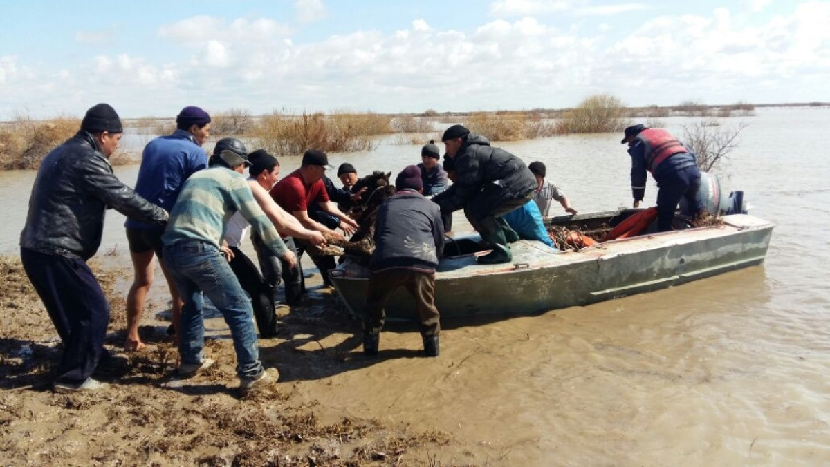  ДЧС Кызылординской области
