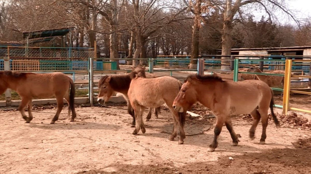  Мария Захарова