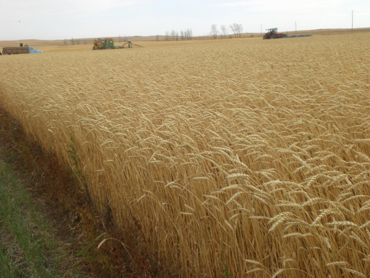  из открытого источника