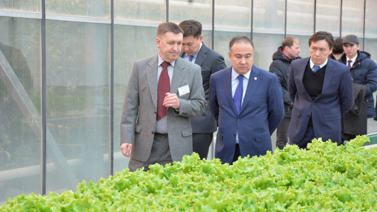  Асель Турар