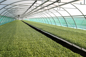 Фотография к новости: Казахстанских специалистов по АПК обучат в Польше