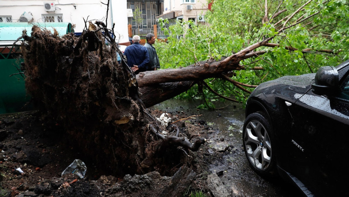  из свободных источников 