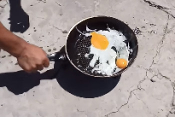 Фотография к новости: Эксперимент в Шымкенте: Как поджарить яичницу за 2 минуты на бетоне