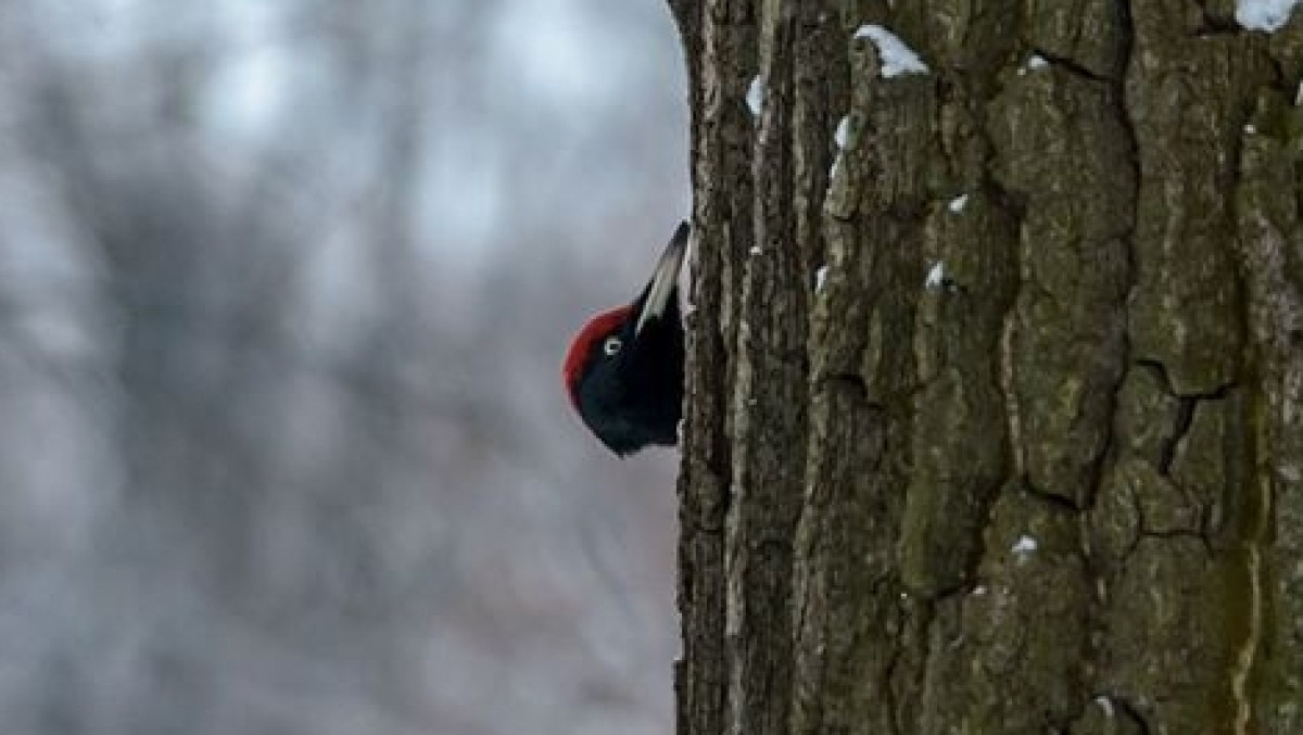  Instagram Igor Zubkov