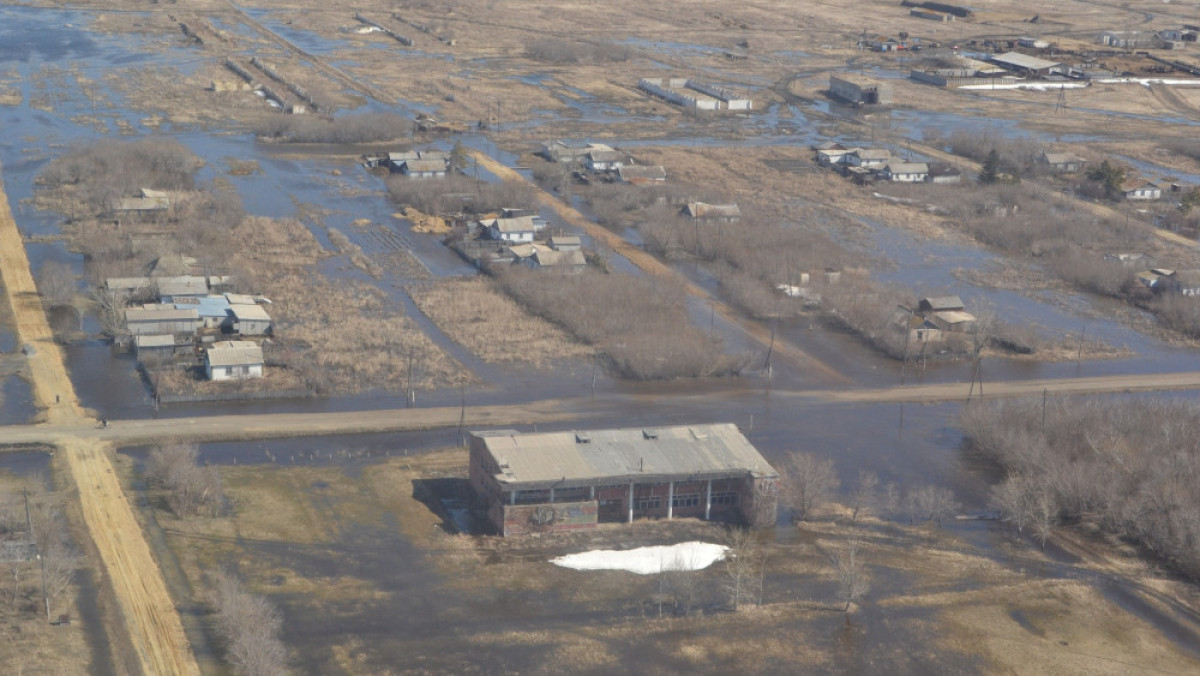  Светлана Боярская