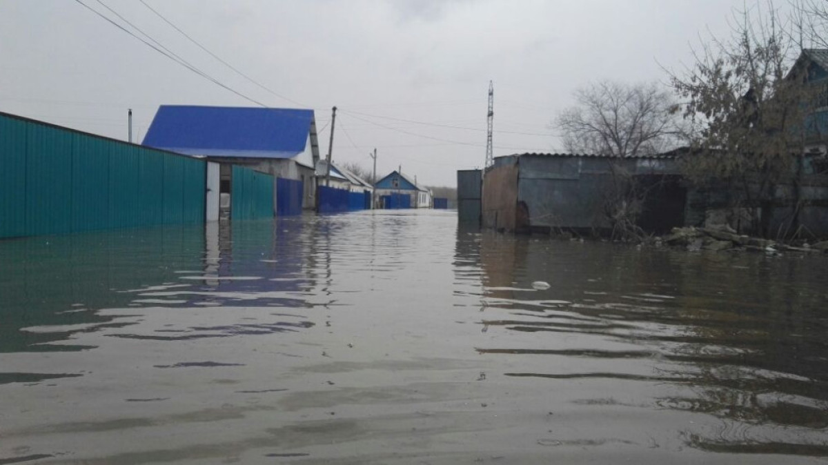  Раяна Кульбекова