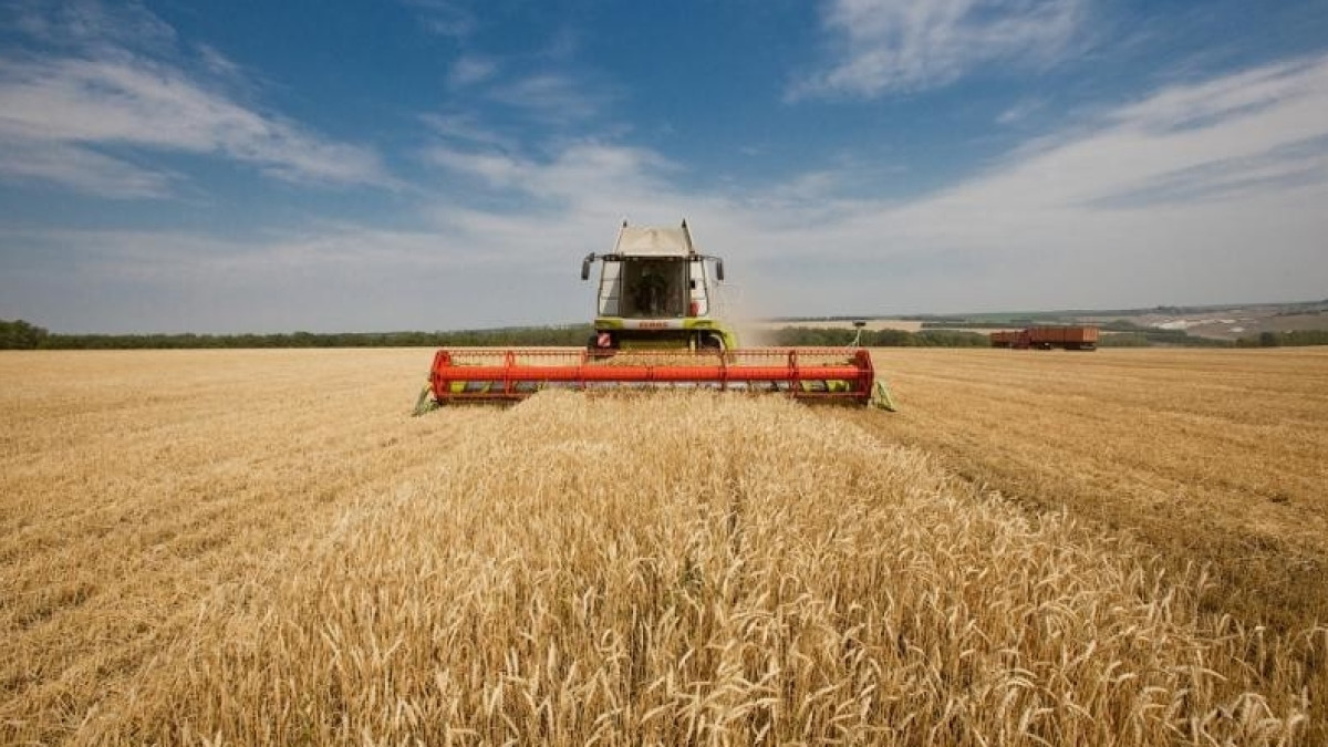  из свободных источников 