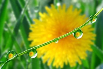 Фотография к новости: Какой будет погода 5-7 августа в Казахстане?