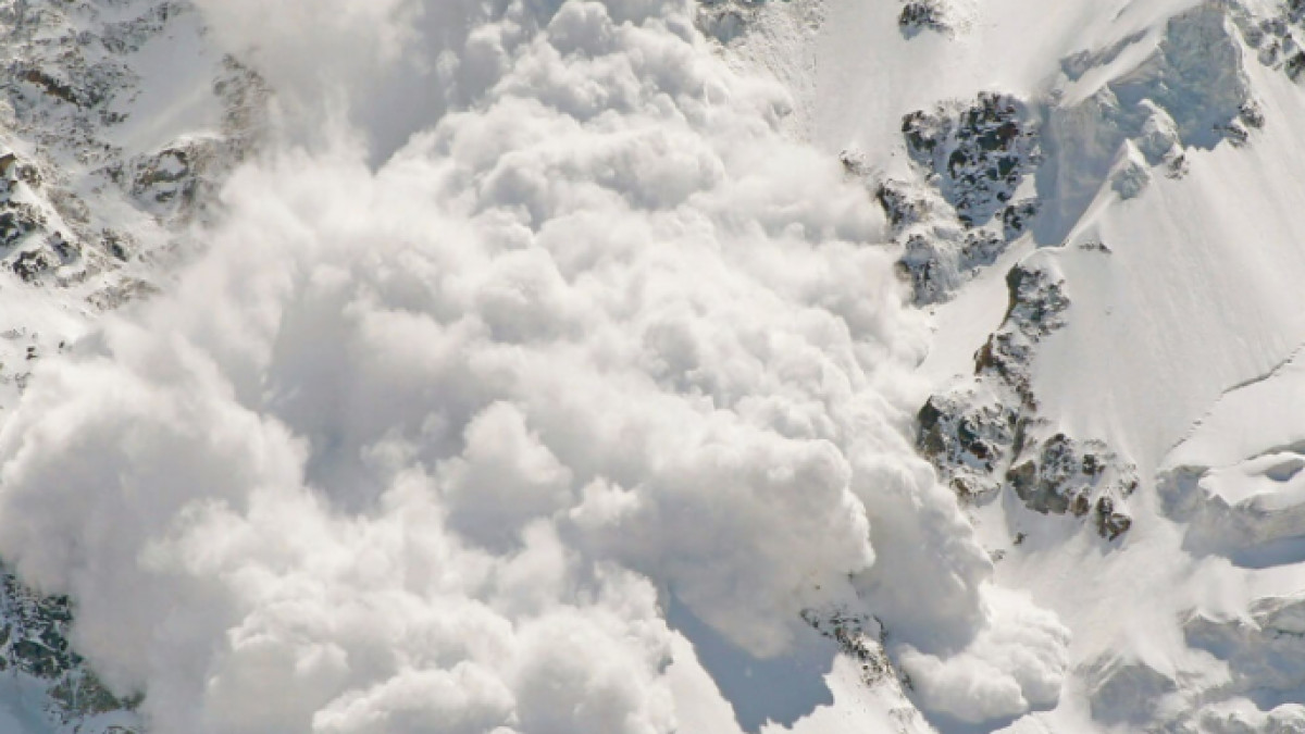  из свободных источников 