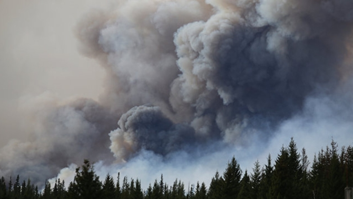  AFP 2017 / Cole Burston