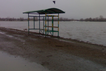 Фотография к новости: Найдено тело второго брата, утонувшего во время паводка на реке Копа